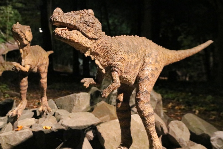 Fotka dinosaura