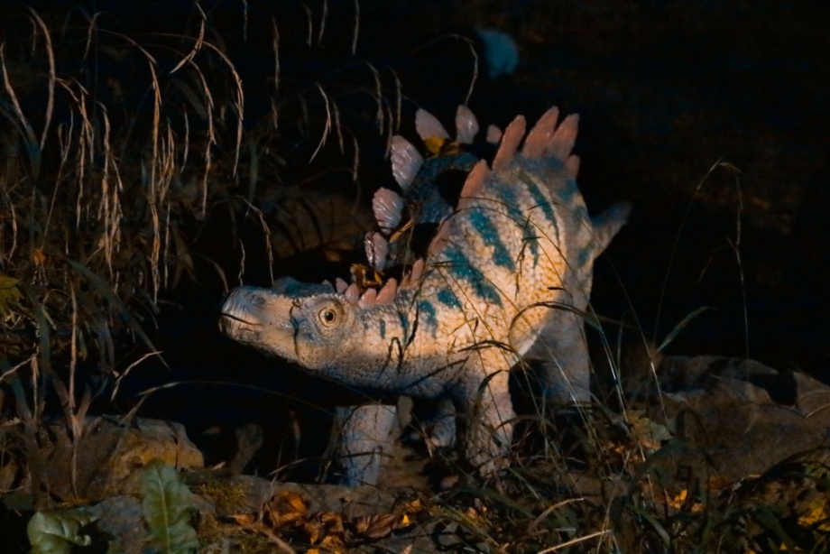 Fotka dinosaura