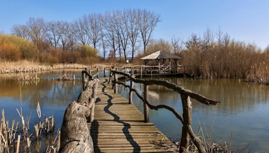 Mokroš